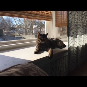 Meet your Posher, Stephanie